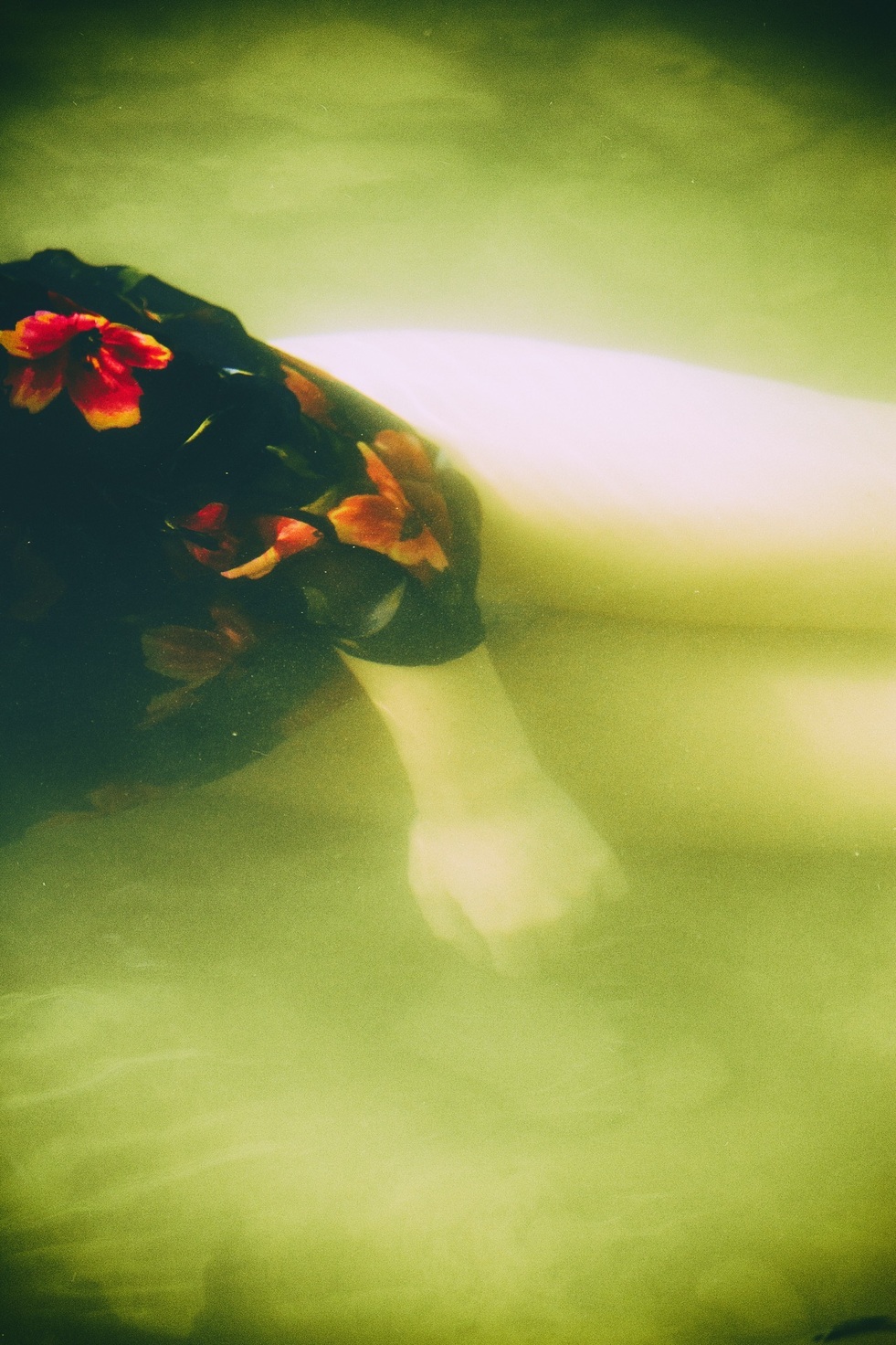 Purity study — final figure held at the waterline