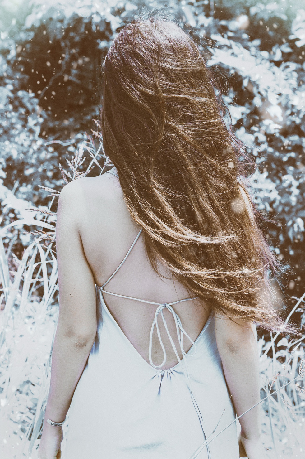 Secret study — pale posture among bleached branches